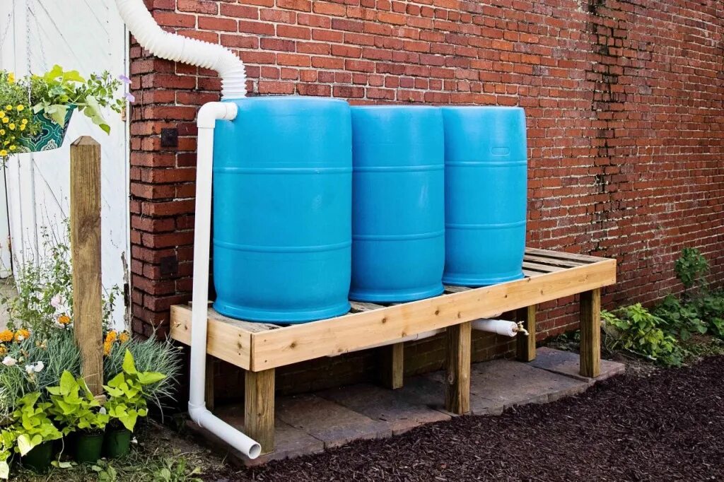 Бочка для воды для полива огорода. Дождевая бочка Rain Barrel. Дождевая бочка Rain Barrel 100 литров. Ёмкость для воды на дачу. Емкость для полива на даче.