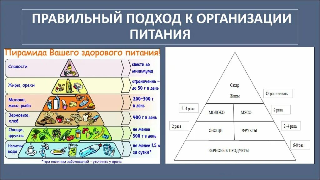 состав продуктов правильного питания. состав продуктов правильного питания. продукты правильного питания список таблица для похудения. пирамида питания в процентах. суточная норма питания по биологии 8 класс.