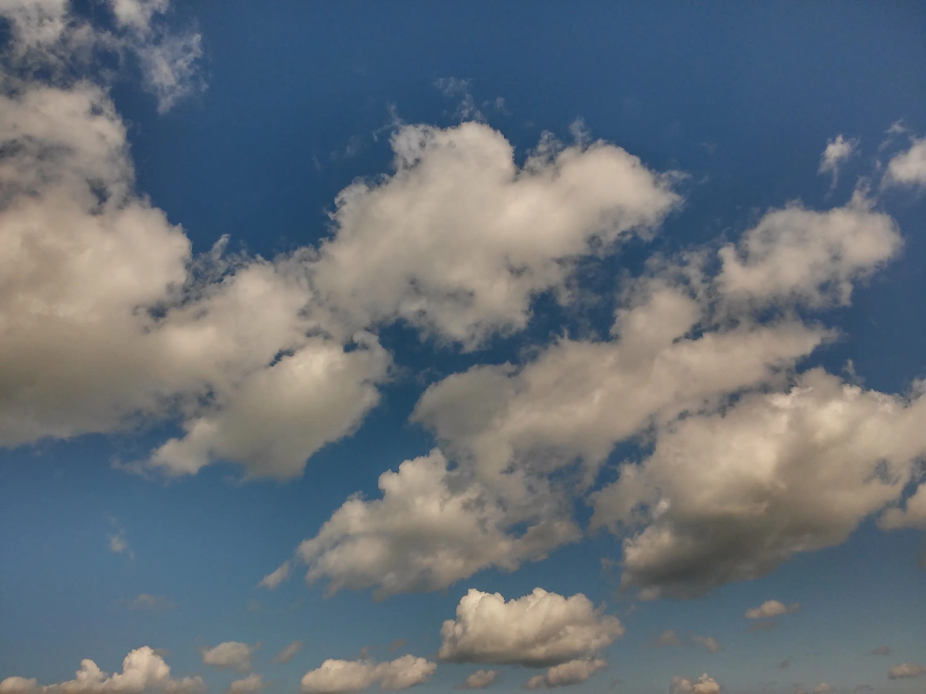 Тучи 1 час. Кумулус хумулюс облака. Кучевые облака облака. Кучевые плоские облака. Кучевые плоские – Cumulus humilis (cu hum..