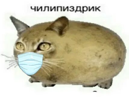 Гавкошмык