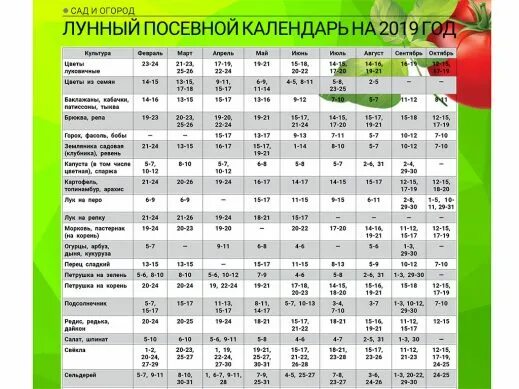 Посадка редиса по лунному календарю в 2024. Лунный посевной календарь. Посадочный лунный календарь посадочный лунный календарь. Лунный календарь 2019 года. Лунный посевной календарь 2019.