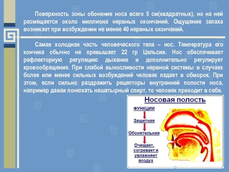 Почему во время насморка