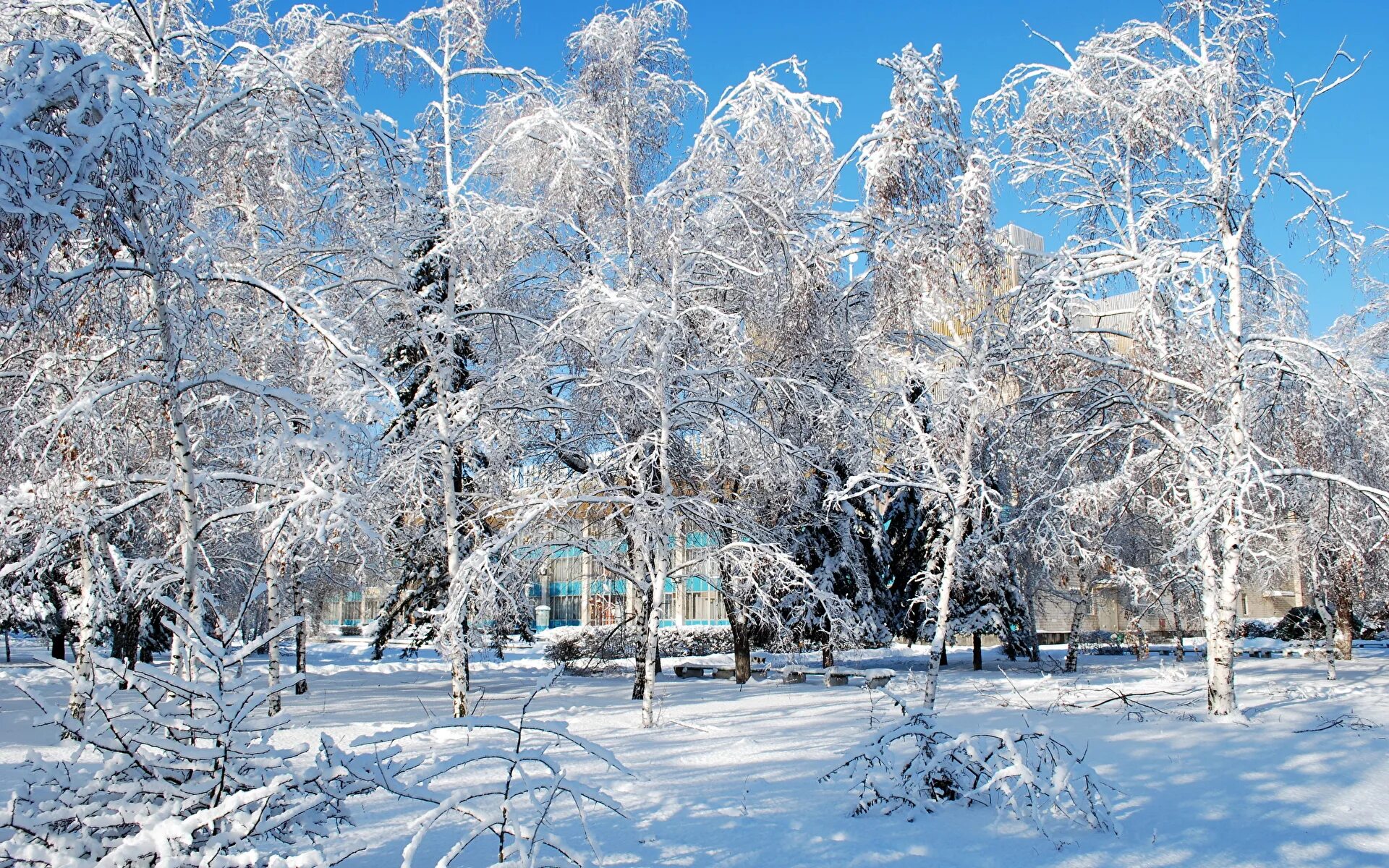 Зимняя природа. Зимние картинки красивые. Время года зима. Зимний пейзаж летом.