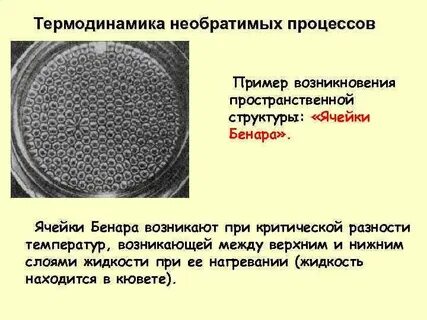 Процесс необратимых направленных
