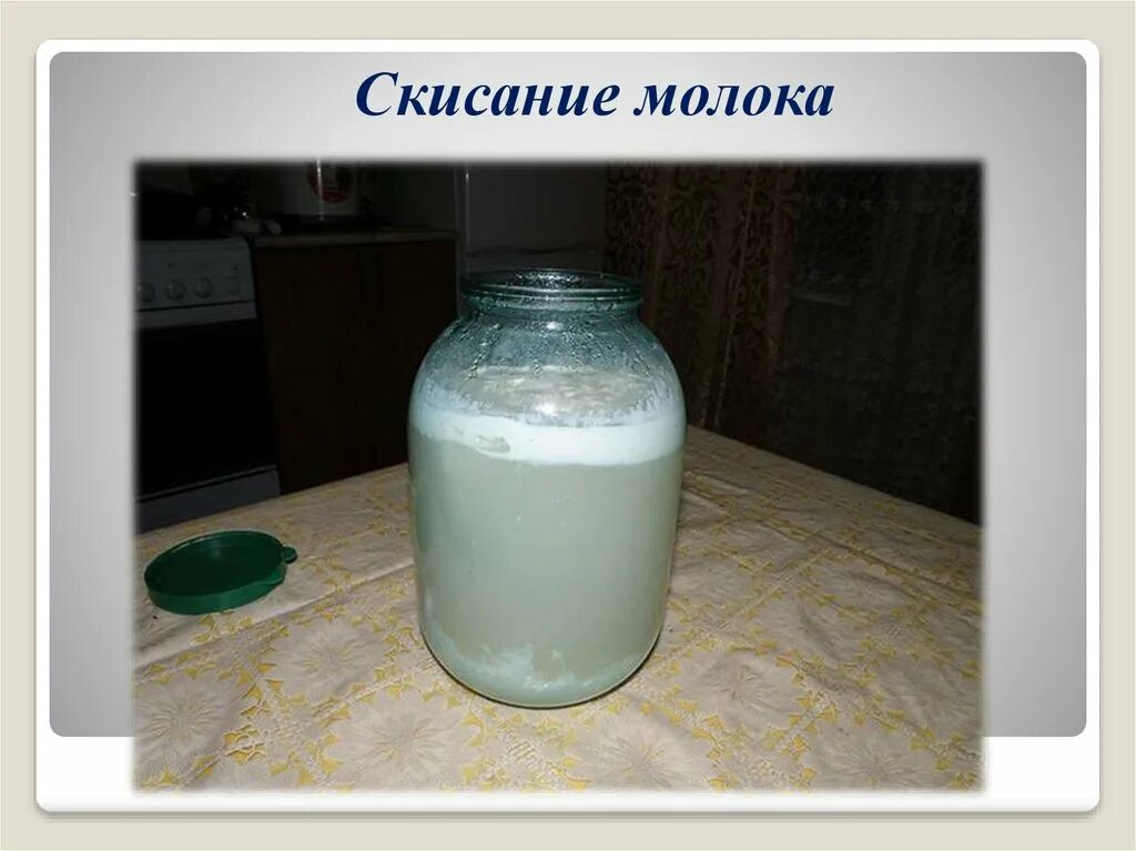 Скисание молока химическое явление. Этапы скисания молока. Скисание молока это физическое или химическое явление. Скисает молоко это химическое или физическое явление. Скисание молока какое химическое явление.
