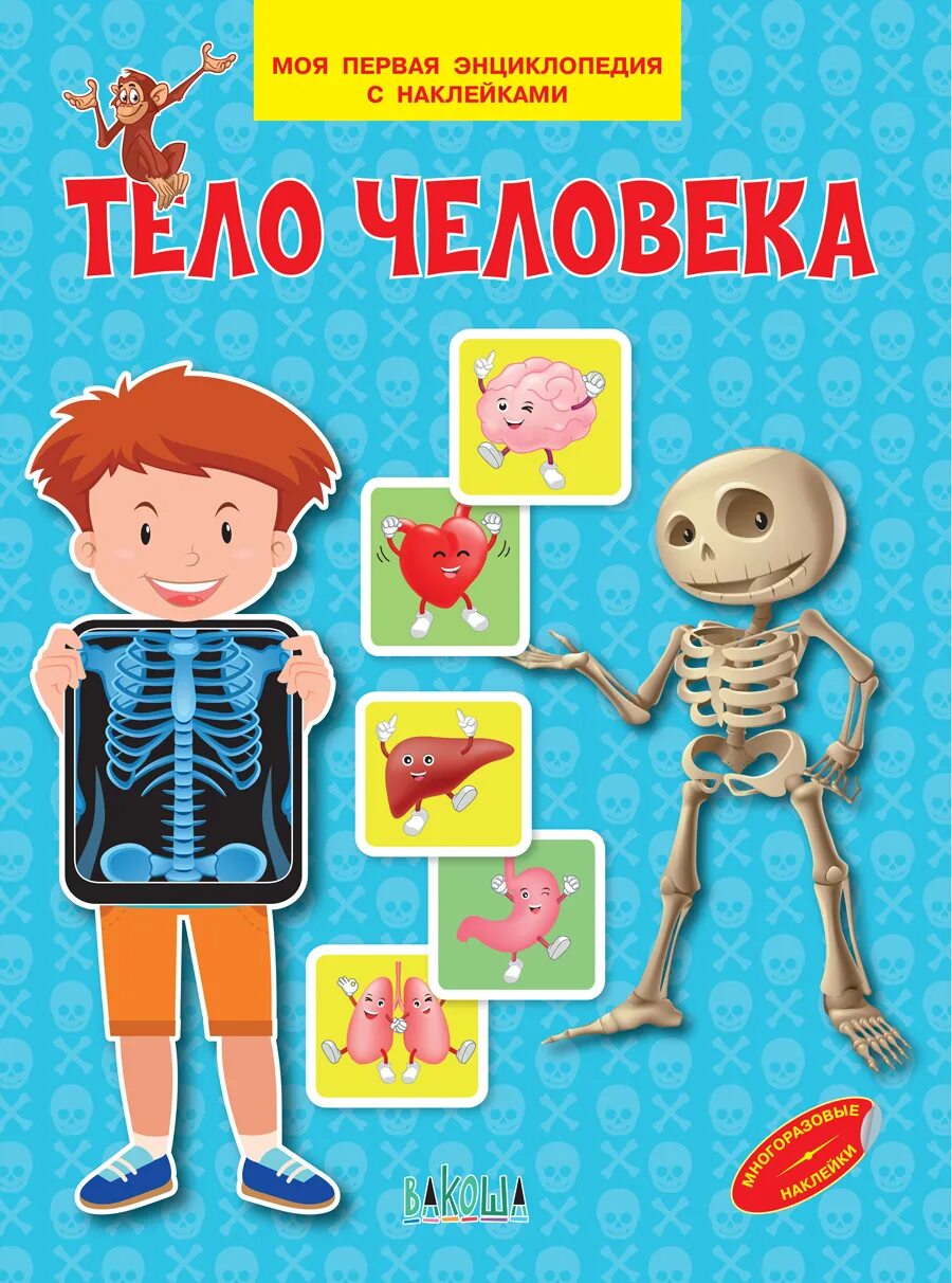 Книги в тело ребенка. Тело человека книга. Тело человека. Моя первая энциклопедия с наклейками. Тело человека энциклопедия для детей. Тело человека книга для детей.