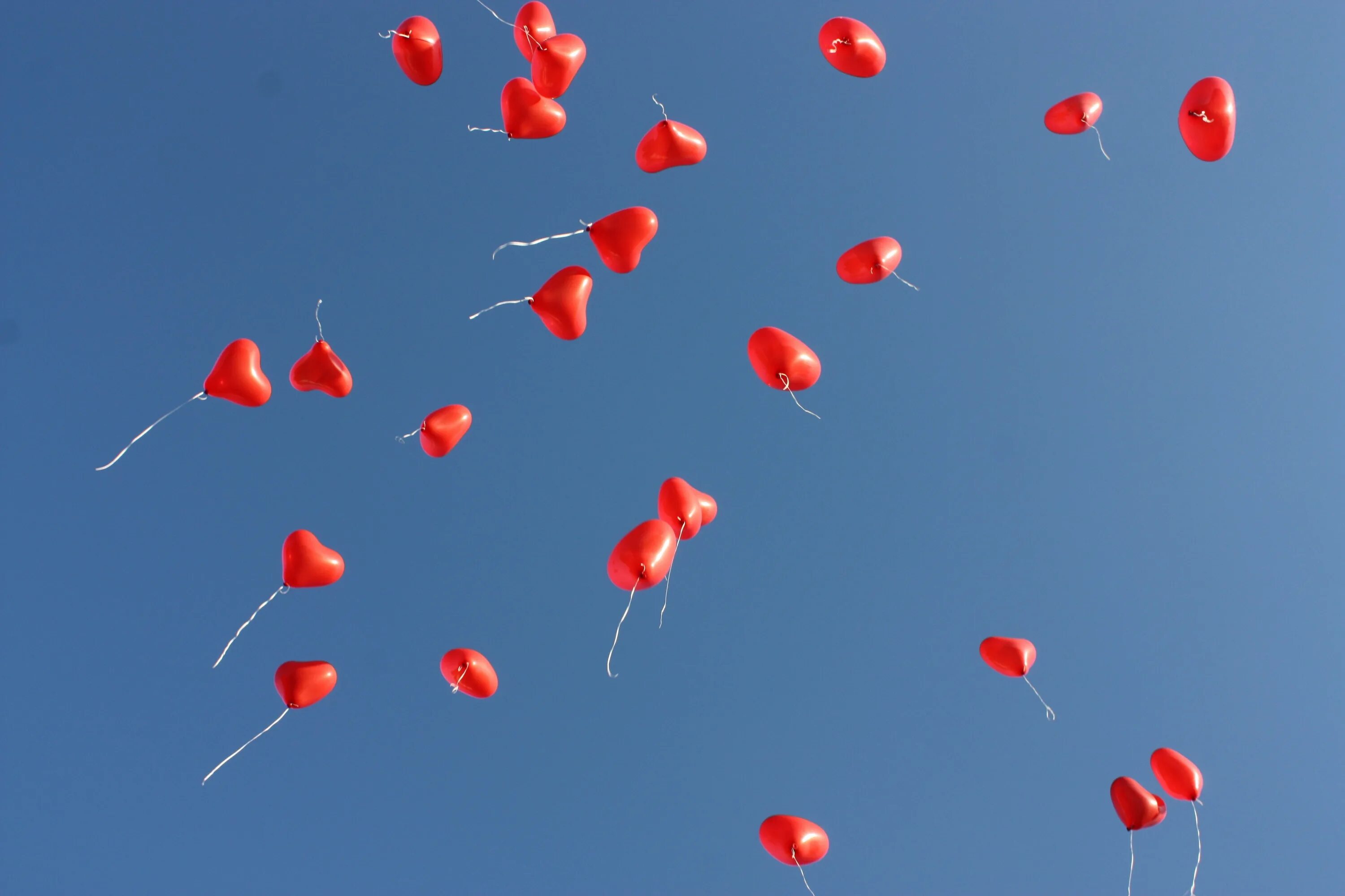 Шары улетели в небо. Красные шары в небе. Воздушные шарики в небе. Шары летят в небо. Красный воздушный шарик в небе.