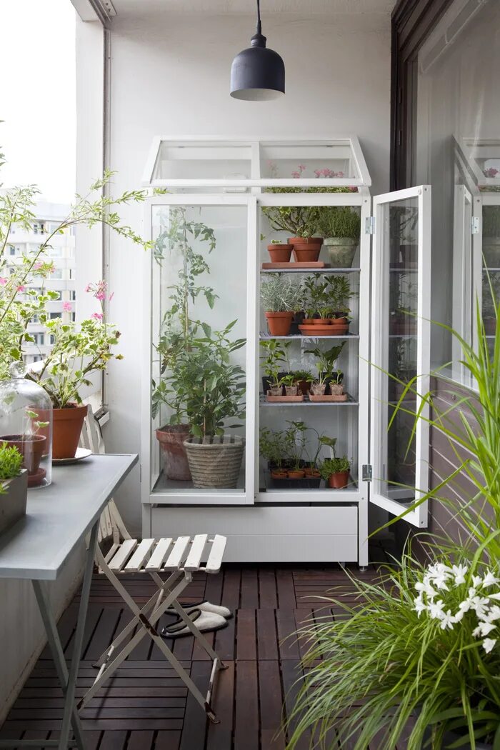 Balcony gardening. Тепличка Органик Гарден. Рассада на балконе. Смарт Гарден оранжерея. Зимний сад на балконе.