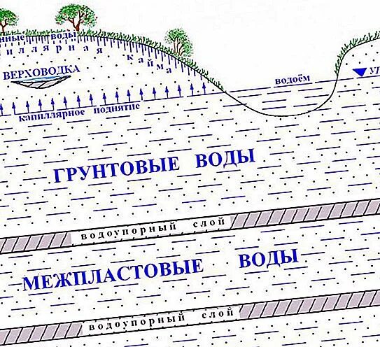 Верховодка это. Подземные воды верховодка. Верховодка грунтовые и межпластовые подземные воды. Верховодка и грунтовые воды. Верховодка воды это.