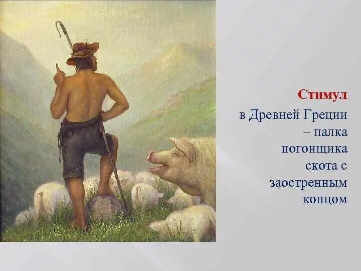 Погоняло для слона 5 букв сканворд. Стимул в древней Греции. Стимул в древности. Стимул у древних римлян. Стимул это палка для скота.