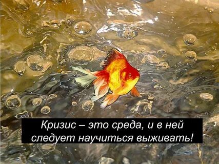 Любой кризис