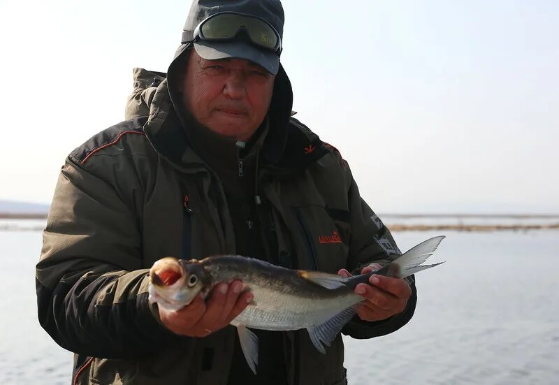 Змееголов рыба приморский край. Лефу приморский край. Лефу приморский край. Рыбалка в приморье клуб рыбаков лефу. Река лефу приморский край.