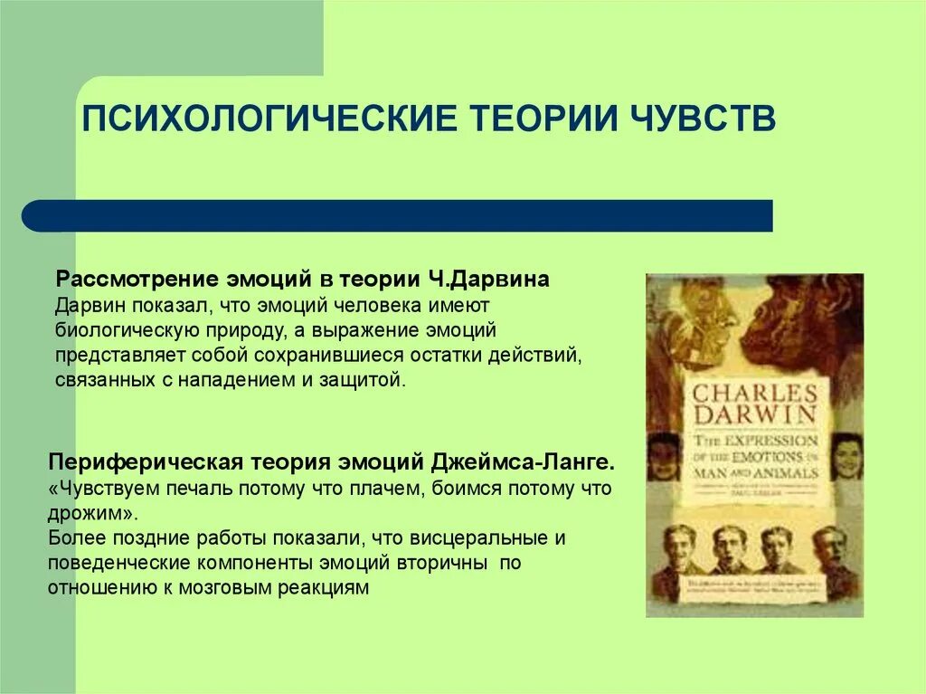 Основные теории ощущений. Психологические теории эмоций. концепции и теории ощущений. теории ощущений в психологии. психологические теории чувств в психологии.