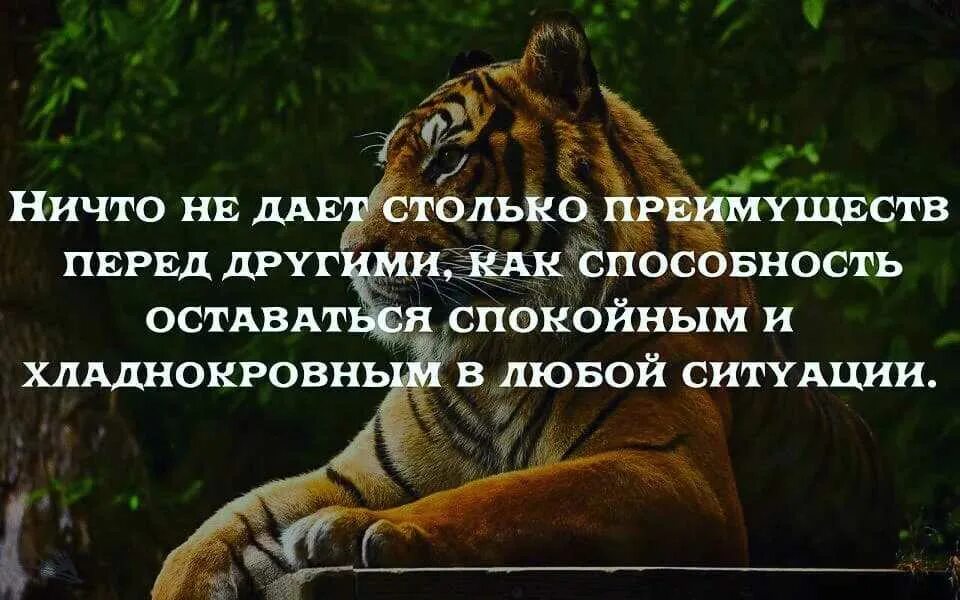 Умение сохранять спокойствие. Будь спокоен в любой ситуации. Быть спокойным в любой ситуации. Сохраняйте спокойствие в любой ситуации. Давай другую спокойную