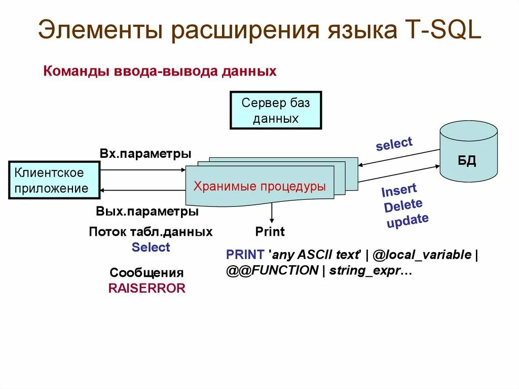 База данных SQL. SQL сервер. SQL Server база данных. База данных программирование.