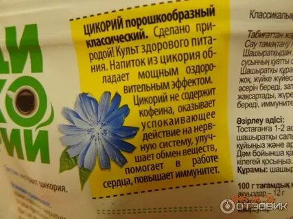 Гэрб цикорий можно
