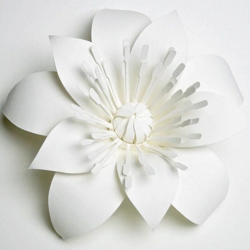 Объемный цветок а4. Объемный цветок а4. Объёмные цветы из бумаги своими руками поэтапно. Объемные цветы. Объемный цветок из обычной бумаги.