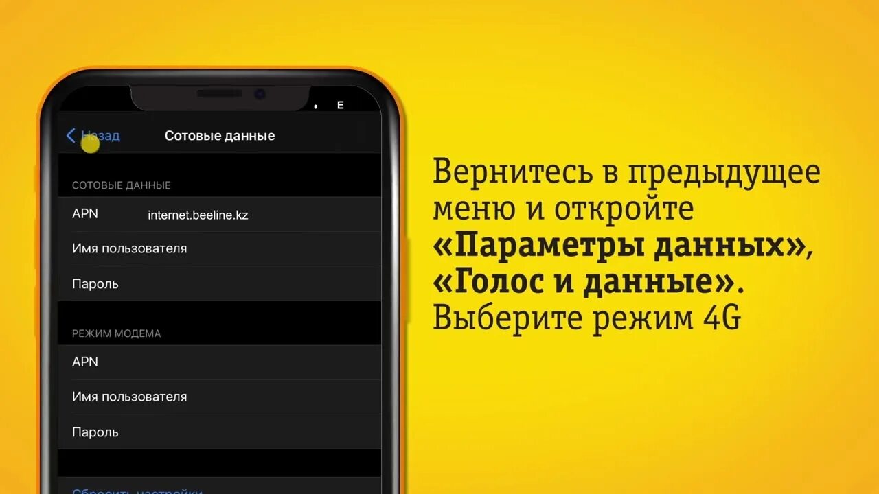 Режим сети айфон. Как настроить режим модема на iphone 12. Как включить 3g на айфоне. Настройки сотовые данные. Днс сервер для браво старс на андроид для ios.