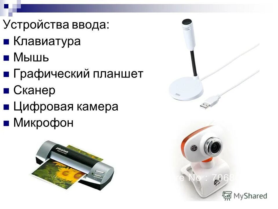 Микрофон сканер клавиатура устройства информации. Клавиатура мышь цифровая камера микрофон. сканер цифровые камеры микрофон. клавиатура мышь графический планшет цифровая камера микрофон. устройства ввода клавиатура, графический планшет, сканер.