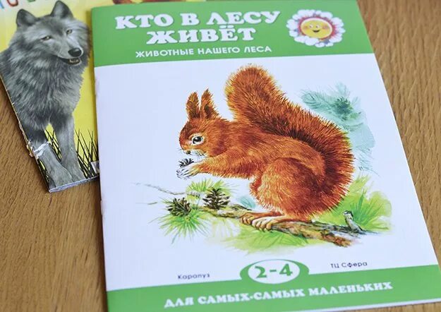Изучаем лесных