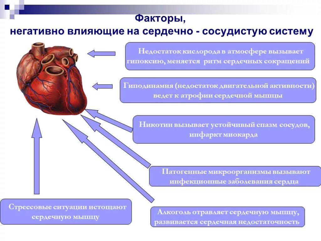 Факторы негативно влияющие на сердечно-сосудистую систему. Факторы негативно влияющие на ССС. Сердечно-сосудистые заболевания презентация. Заболевания сердечно-сосудистой системы презентация. Воздействие на кровообращение