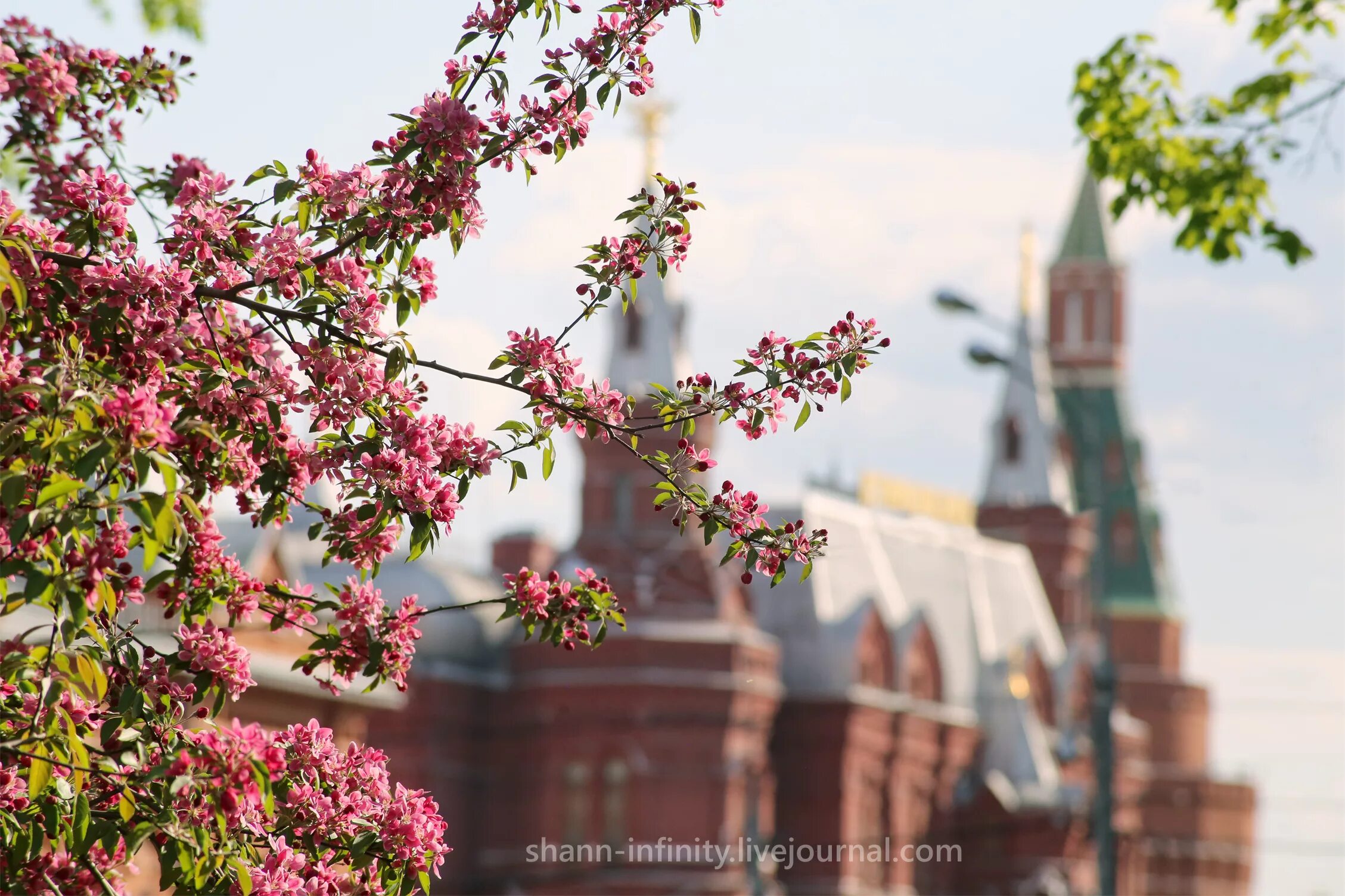Москва весной. Весенний город. Когда ждать весну в 2024