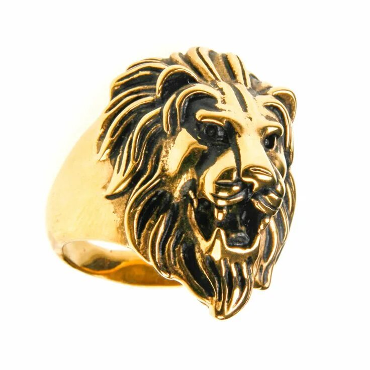 Gold lion. Lion Gold sh7122. Кольцо Лев золото. Перстень мужской Лев золото. Перстень мужской с мордой Льва.