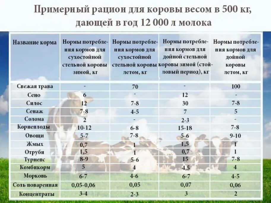 Сколько сена на 1 корову