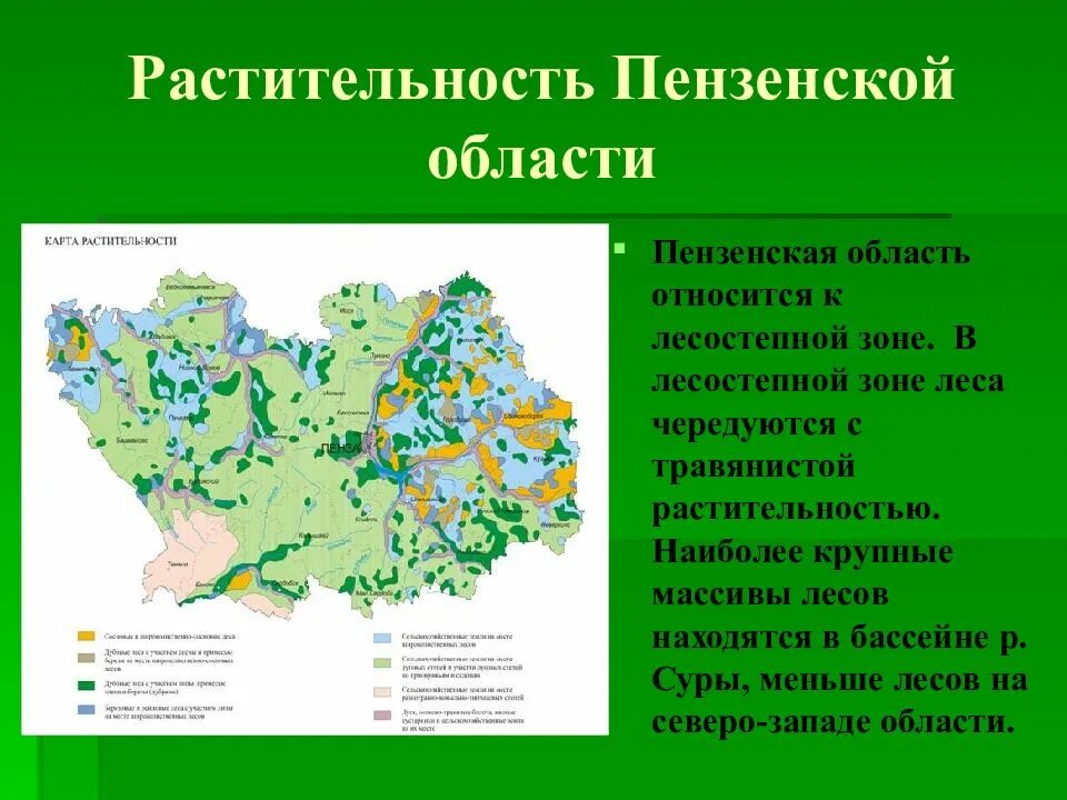 Растительный и животный мир Пензенской области. Животный мир Пензенской области карта. Растительный мир Пензенской области карта. Растительность Пензенской области. Какими способами используя рельеф и растительный покров