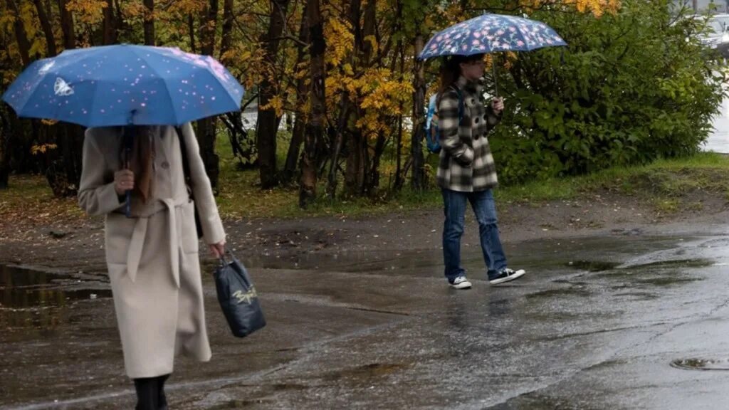 Пасмурный день. Дождливая погода. Под дождем. Дождливый октябрь.