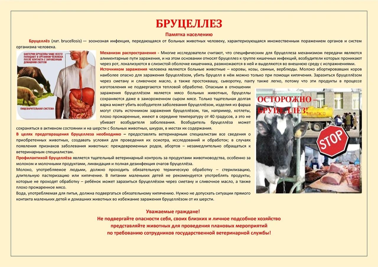 Памятка лейкоз крупного рогатого скота. Бруцеллез крс профилактика. Профилактика болезней крс. Бруцеллез симптомы крупного рогатого скота. Профилактика заболеваний крс.