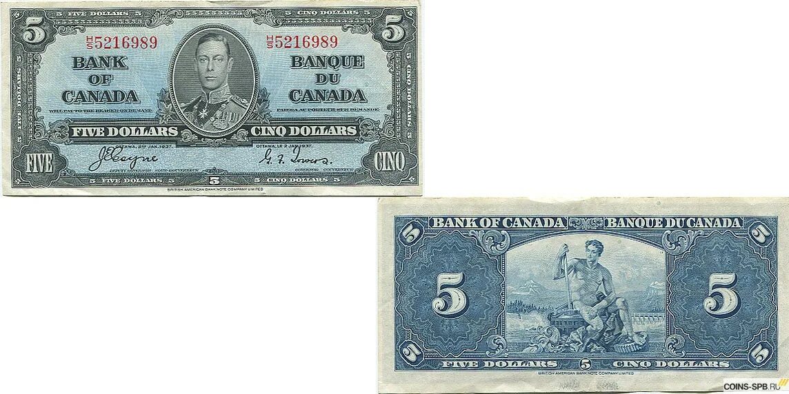5 долларов в россии. Банкноты Канады 5 долларов. 5 Канадских долларов. Канадский доллар 5 долларов. 5 Долларов фото.