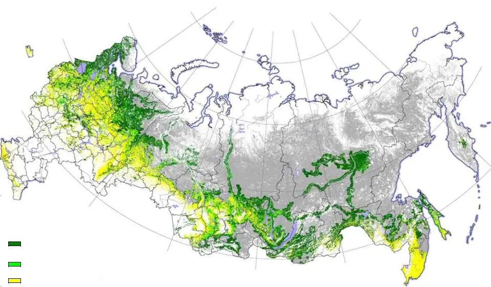 Где находится лес на карте