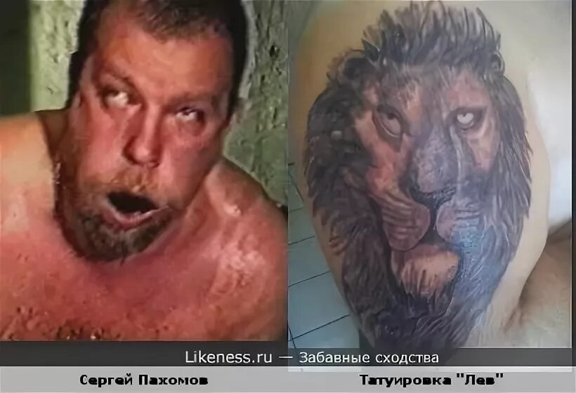 Кадров уф уф. Человек похожий на Льва. Лицо человека похоже на Львиное. Человек похоже на Льва.
