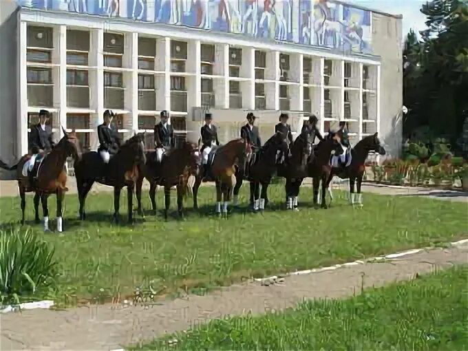 Поселок октябрьский краснодарский край. Посёлок Октябрьский Краснодарский край Красноармейский район музей. Конюшня Октябрьский Красноармейский район. Музей в Красноармейском Октябрьский районе. Красноармейский район, посёлок Октябрьский, ул Школьная 1.