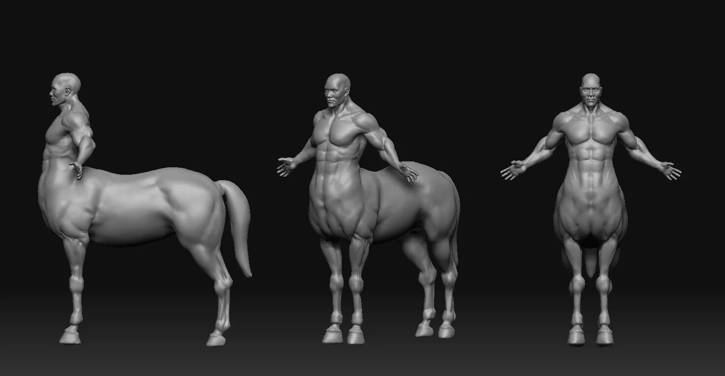 Village of centaurs. Референсы животных для 3d моделирования. Референс для 3d моделирования. Референс для 3д моделирования лук.