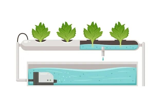 Исследовательский проект выращивание растений с помощью гидропоники DIY Hydroponics Kits Sistemas de cultivo hidropónico, Hidroponia, Cultivos hidro