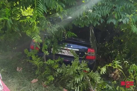 Машина врезалась в дерево