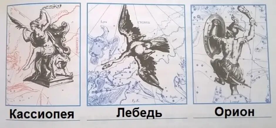 Созвездию пушкина. Схема созвездия Кассиопея лебедь Орион. Звёздное небо Кассиопея Орион лебедь. Созвездия из старинного звездного атласа. Созвездие Кассиопея схема.