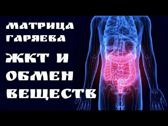 Матрица горяева сердечная система горяева. Матрица гаряева жкт. матрица гаряева исцеляющая. матрица гаряева п п универсальная исцеляющая. настоящая матрица гаряева.