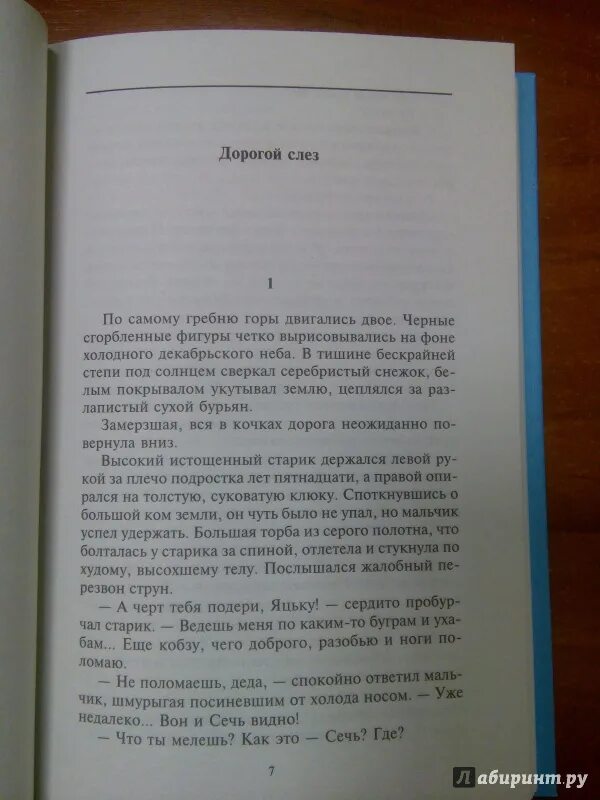 Посол Урус шайтана книга. Малик посол Урус шайтана. Посол Урус шайтана на украинском языке. Маленькая книга шайтана.