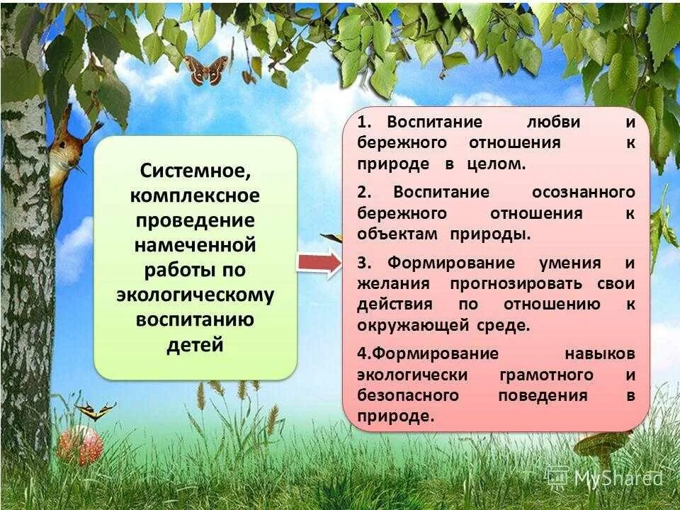 Бережно отношение к природе. Воспитание бережное отношение к природе. Воспитание любви и бережного отношения к природе. Экологическое воспитание бережное отношение к природе. Про бережное отношение к природе