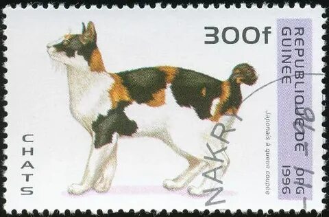 Republic of Guinea 1996 Cat Stamps Cat stamp, Cat text, Stamp collecting 