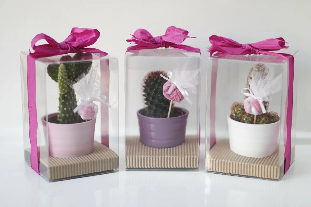 Упаковка для цветов в горшках. Подарочные цветы в горшках. Подарочный цветок в горшочке. Суккуленты в кашпо. Горшочки с растущей травой.