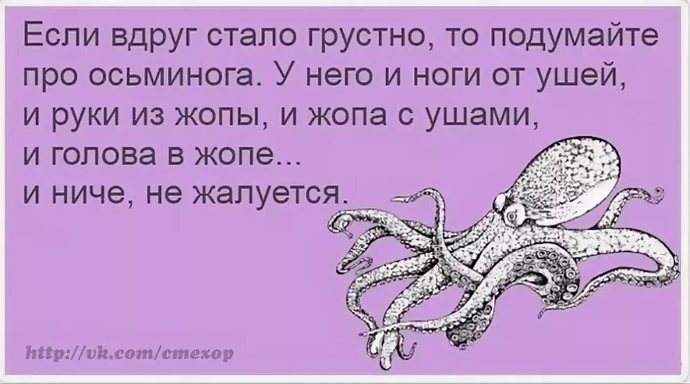 Стихи не буду грустить. Шутка про осьминога. Осьминог прикол. Анекдот про осьминога. Анекдот про осьминога руки.