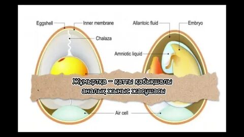 Порно қыздар Таганрог