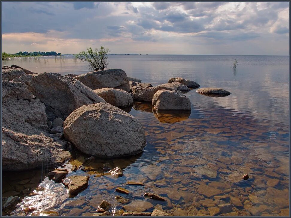 Озеро Ильмень Новгородская. Великий Новгород экскурсия на озеро Ильмень. Озеро Ильмень Новгородская область камни. Река Ильмень Великий Новгород. Название озера ильмень