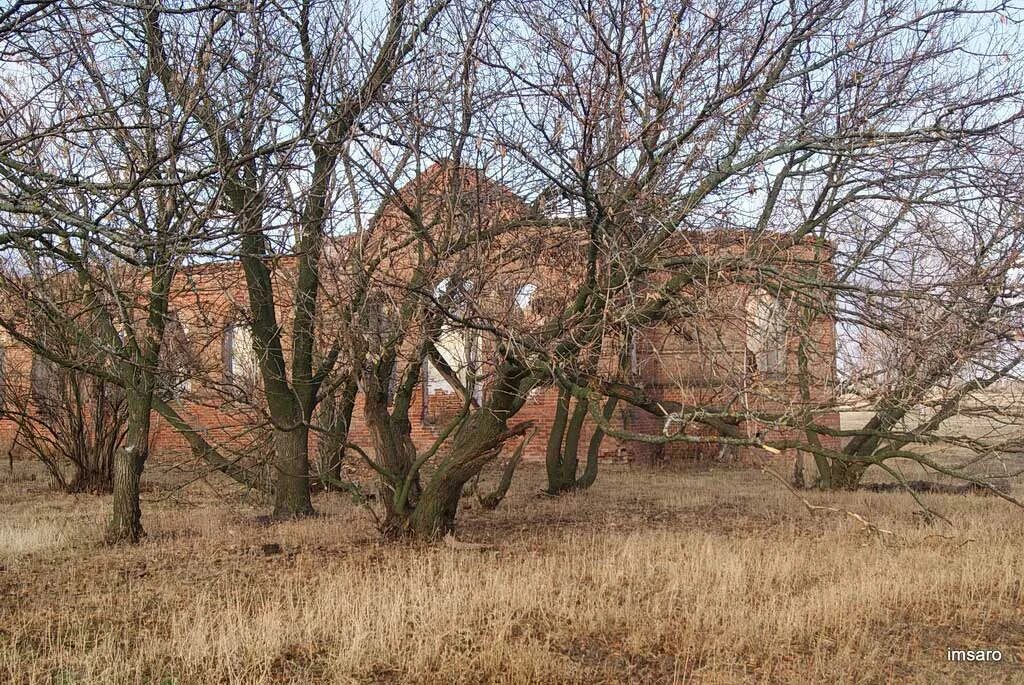 Большая рельня лысогорский район саратовской области