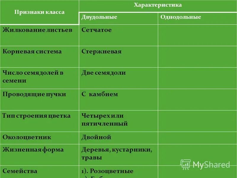 Корневая система и жилкование двудольных