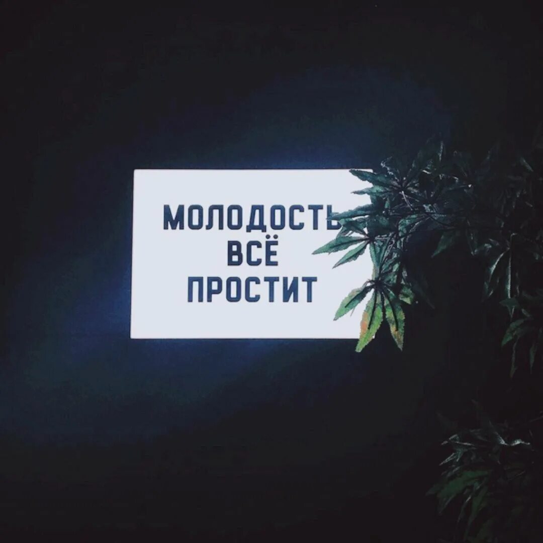 Научись прощать. Научитесь прощать людей. Цитаты о прощении. Давай оставим все как есть картинки. Прости цитаты.